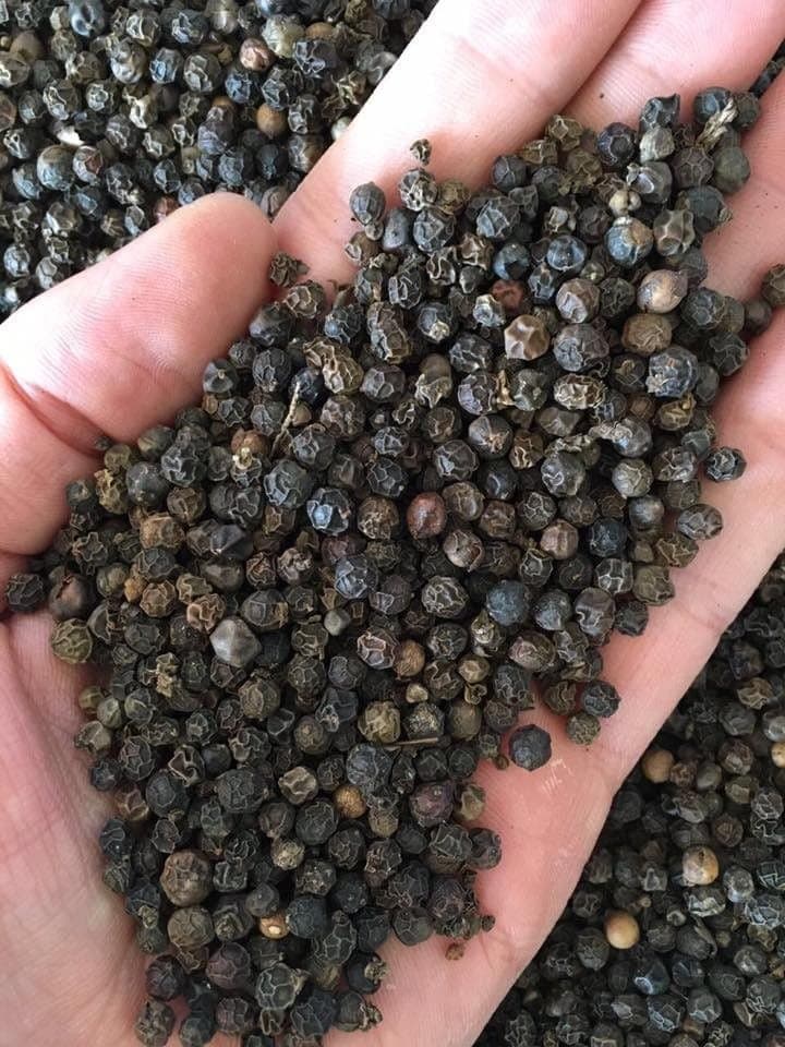 Black Pepper & Spices