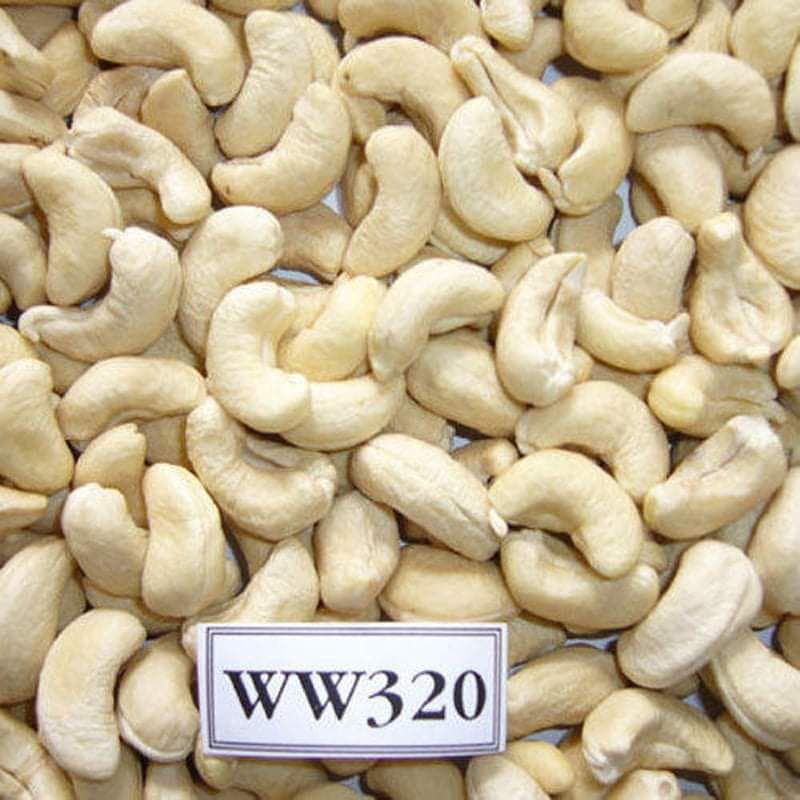 WW320 grade cashew kernels