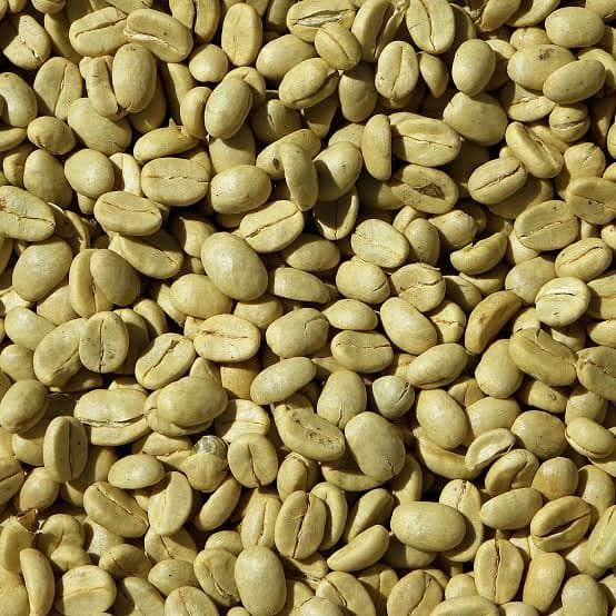 Kenyan green coffee beans