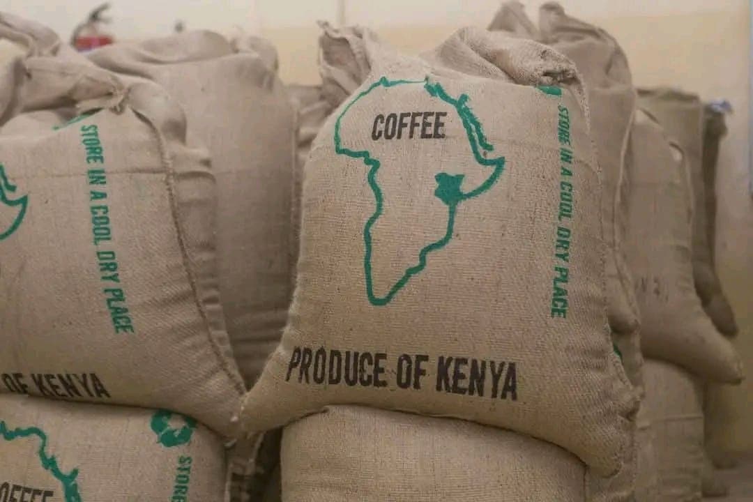 Kenyan coffee, bagged for export — 'Produce of Kenya'