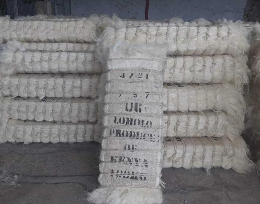 Sisal fibre baled — 'Lomolo, Produce of Kenya, 100kg'